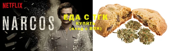 индика Алзамай