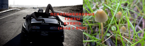 экстази Алексеевка
