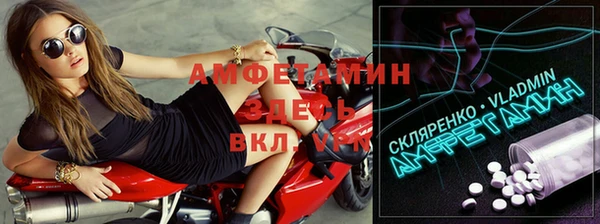 индика Алзамай