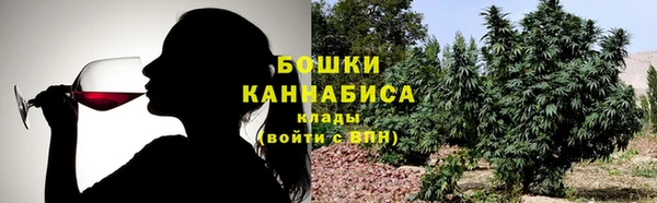 индика Алзамай